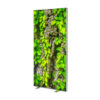 Light Box The Brightbox Double 100 x 200 cm