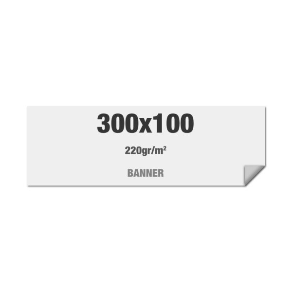 Banner Profile 300 cm