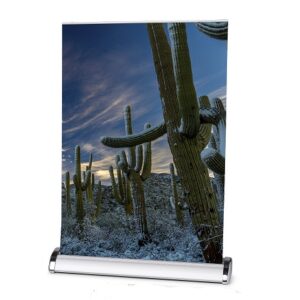 Roll-Banner Mini A3 (297x420mm)