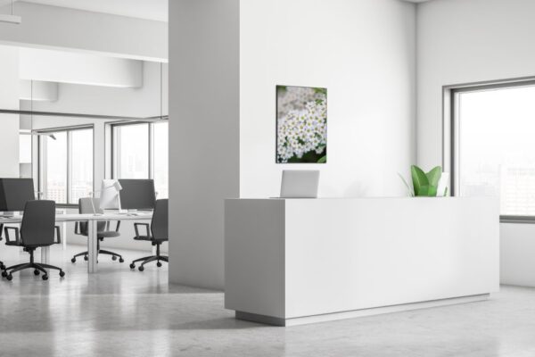 Spannstoff Wanddekoration SET 40 x 40 Weiße Blume Spirea