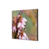 TFR22W400-SET-I5_1.jpg Spannstoff Wanddekoration SET 40 x 40 Pinke Blume Erica