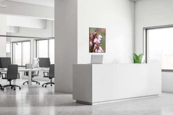 Interior,Of,Open,Space,Office,With,Rows,Of,Computer,Desks, Spannstoff Wanddekoration SET 40 x 40 Pinke Blume Erica