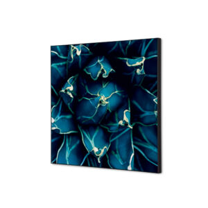 TFR22W400-SET-I819_1.jpg Spannstoff Wanddekoration SET 40 x 40 Kaktus Blau