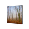 Spannstoff Wanddekoration SET 40 x 40 Herbstnebel