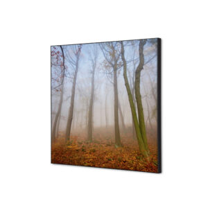 TFR22W400-SET-I823_1.jpg Spannstoff Wanddekoration SET 40 x 40 Herbstnebel