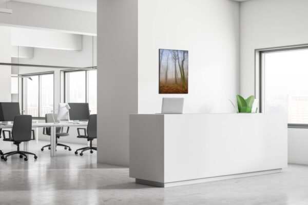 Spannstoff Wanddekoration SET 40 x 40 Herbstnebel