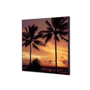 TFR22W400-SET-I826_1.jpg Spannstoff Wanddekoration SET 40 x 40 Palmen Sonnenuntergang