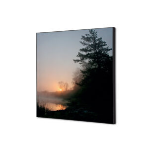 TFR22W400-SET-I829_1.jpg Spannstoff Wanddekoration SET 40 x 40 Wald Sonnenaufgang