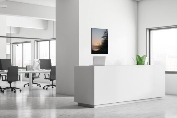 Spannstoff Wanddekoration SET 40 x 40 Wald Sonnenaufgang