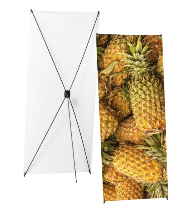 X-Banner Budget 60 x 160 cm