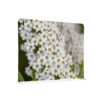 Textile Room Divider EU 150-150 Double Spirea I3